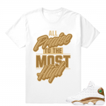 Match Air Jordan 13 DMP | All Praise | White T shirt