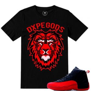 Match Flu Game 12 Jordan Retros | Dxpe Gods Lion Order| Black T shirt