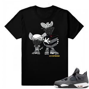 Jordan 4 Cool Grey | Sneaker Heist | Black Shirt