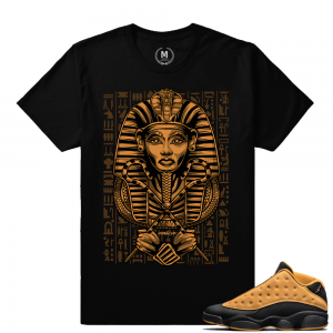 Match Air Jordan 13 Chutney | Dxpe Gods Pharoah | Black T shirt