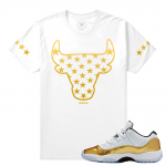 Match Jordan 11 Low Gold Closing Ceremony | Rare Bull Stars | White T shirt