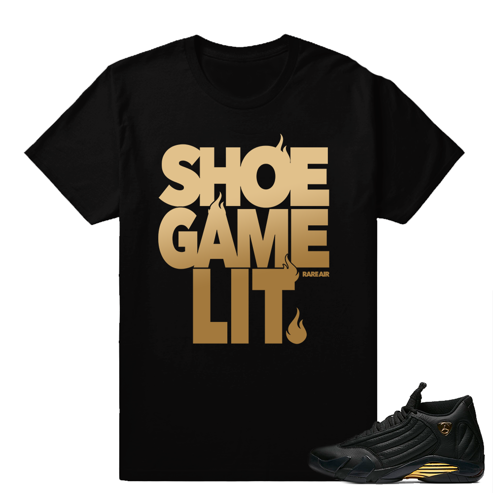 Match Air Jordan 14 DMP | Shoe Game Lit | Black T shirt