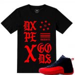 Match Flu Game 12 Jordan Retros | DXPE GODS XIIs| Black T shirt