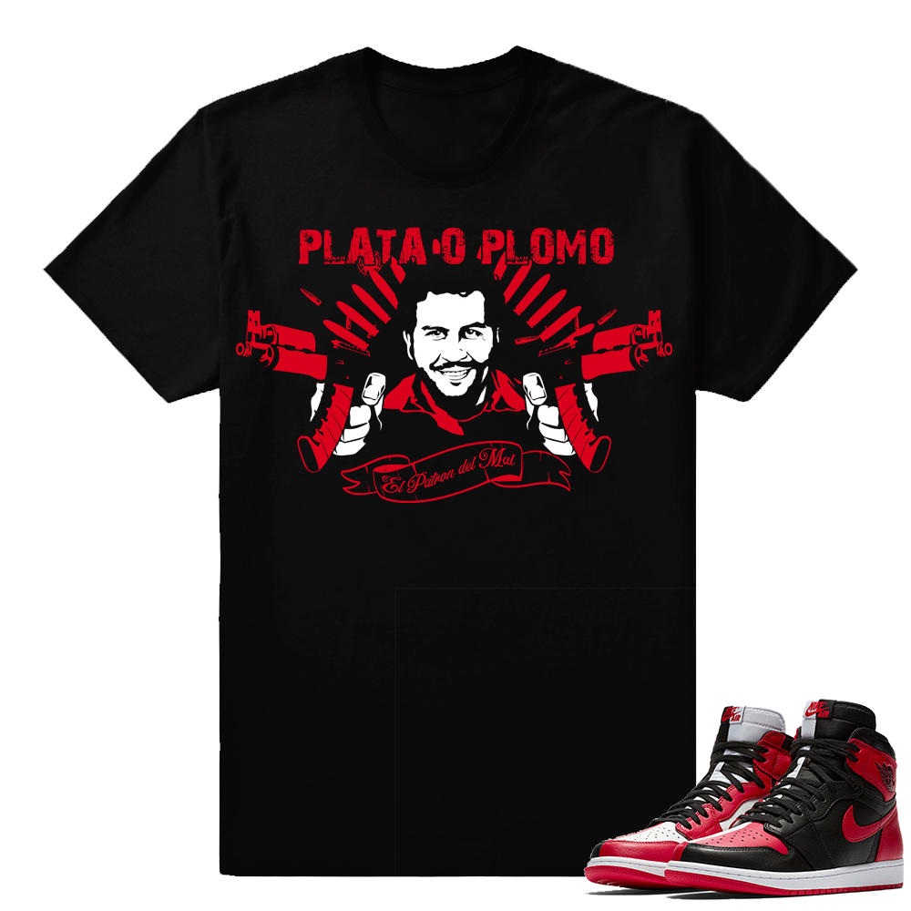 Homage to Home Jordan 1 T shirt - Plata O Plomo - Black Tee