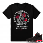 Infrared 6s sneaker tees | Grass Cut | Black shirt