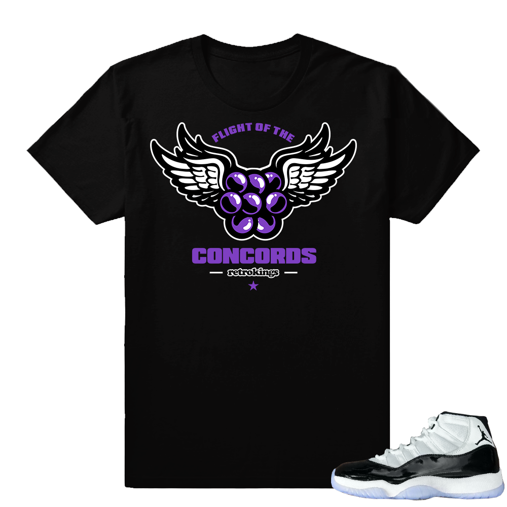 Jordan 11 Concord tee | Flight of the Concords | Black shirt