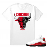 Match Jordan 13 OG Chicago | Cyborg Bull | White T shirt