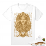 Match Air Jordan 13 DMP | Dxpe Gods Pharoah | White T shirt