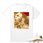 Match Air Jordan 13 DMP | MJ Roar | White T shirt