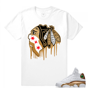 Match Air Jordan 13 DMP | Black Hawks Drip | White T shirt