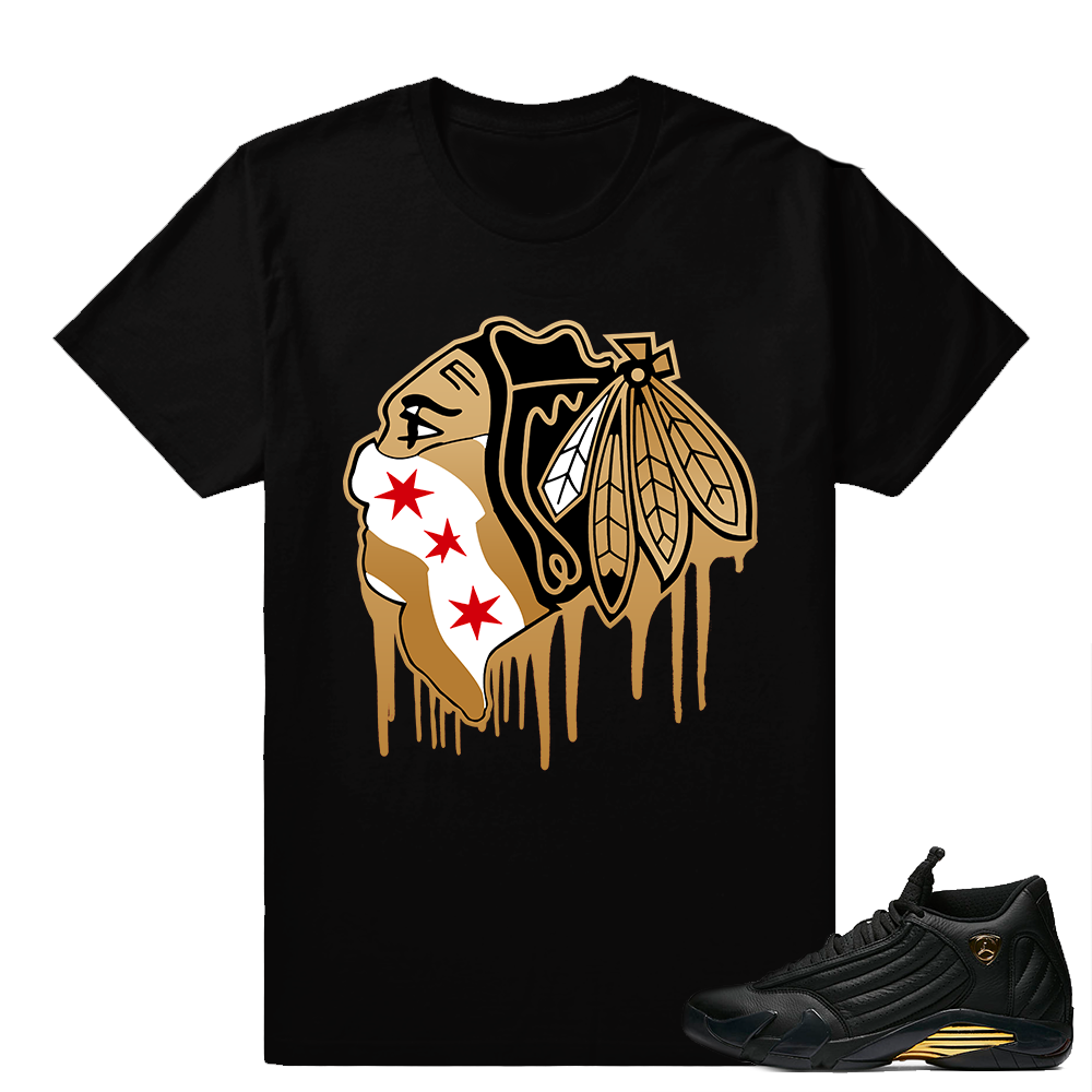 Match Air Jordan 14 DMP | Black Hawks Drip | Black T shirt