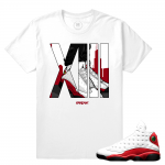 Match Jordan 13 OG Chicago | Chicago XIII | White T shirt