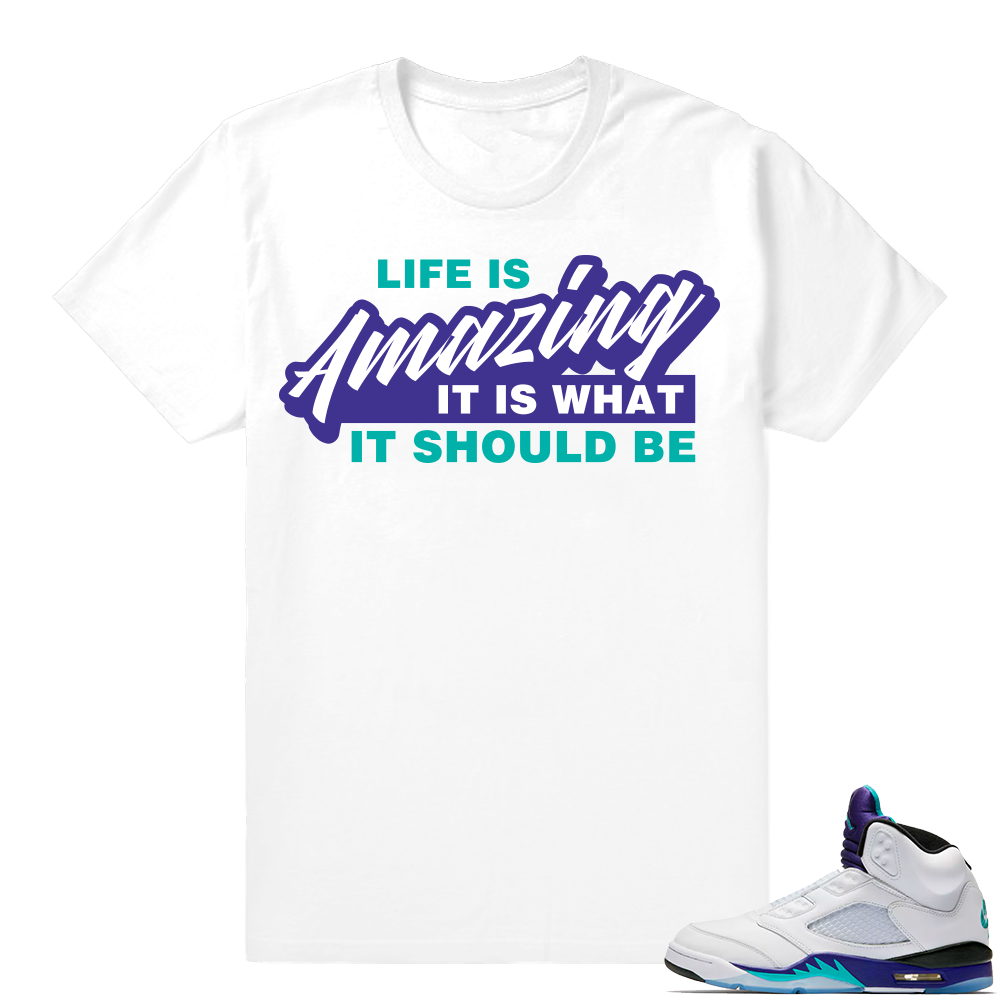 Match Air Jordan retro 5 Fresh Prince Shirt | Life is Amazing | White shirt