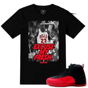 Match Flu Game 12 Jordan Retros | 'Excuse my Fresh' | BLACK T shirt