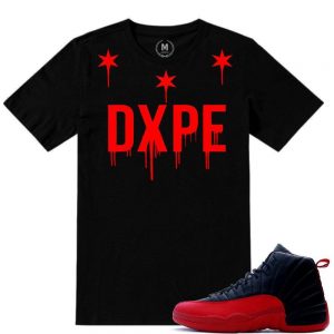 Match Flu Game 12 Jordan Retros | DXPE Drip | Black T shirt