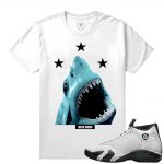 Match Jordan 14 Oxidized | Shark Attack | White T shirt