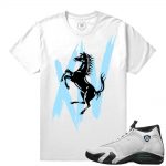 Match Jordan 14 Oxidized |Rari| White T shirt