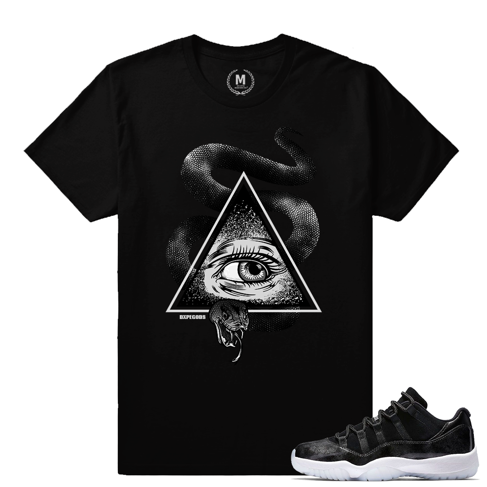 Match Air Jordan 11 Barons | Watch For Snakes | Black T shirt