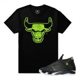 Match Indiglo 14s Jordan Retro|Bull Drip |Black T shirt