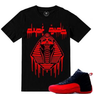 Match Flu Game 12 Jordan Retros | DXPE GODS Pharaoh| Black T shirt