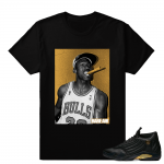 Match Air Jordan 14 DMP | Championship Cigar | Black T shirt