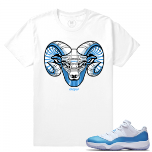 Match Jordan 11 UNC lows | Rare Air Ram 11s | White T shirt