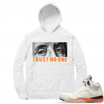 Shattered Backboard 5s Matching Hoodies White Trust No One