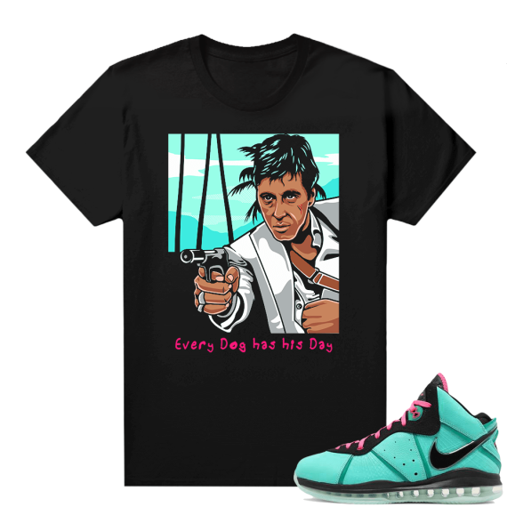 South Beach Lebron 8 Sneaker tees match Every Dog has His Day