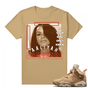 Travis Scott 6s British Khaki sneaker tees shirt Aaliyah