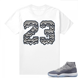 Cool Grey 11 Jordan - Tees 23 Drip