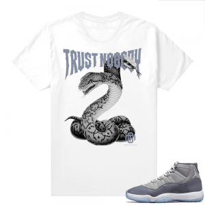 Cool Grey 11 Jordan - Tees Marcello Gior Trust Nobody