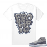 Cool Grey 11 Jordan - Tees Prolific Bubble Font