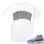 Cool Grey 11 Jordan - Tees Sheesh Bubble Font