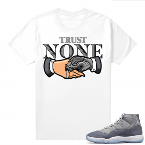 Cool Grey 11 Jordan - Tees White Trust None