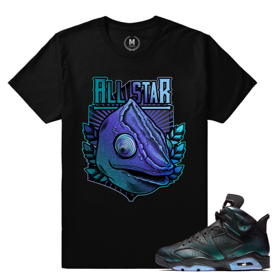 Match Jordan 6 All Star Chameleon | Chameleon All Stars | Black T shirt