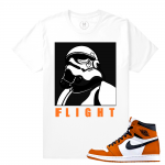 Match Reverse Shattered Backboard 1s Jordan Retro | FLIGHT | White T shirt