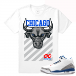 Match Jordan 3 True Blue OG | Chicago OG Bull | White T shirt