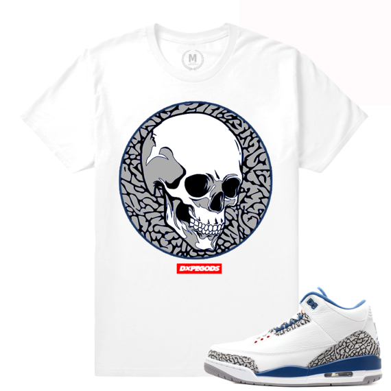 Match Jordan 3 True Blue OG | DXPE SKULL | White T shirt