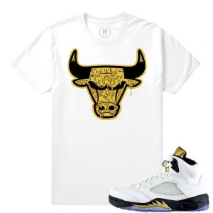 Match Olympic 5 Jordan Retro | Bull Drip | White T shirt