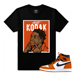 Match Reverse Shattered Backboard 1s Jordan Retro | Free Kodak | Black T shirt