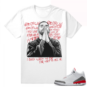 Match Jordan 3 Hall of Fame Shirts  6 Gods Plan  White tee