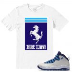 Match Jordan Retros 10 Charlotte Hornets | Fast Lane | White T shirt