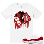 Match Varsity Red 11 lows Jordan Retros | Black Hawks Drip | White T shirt