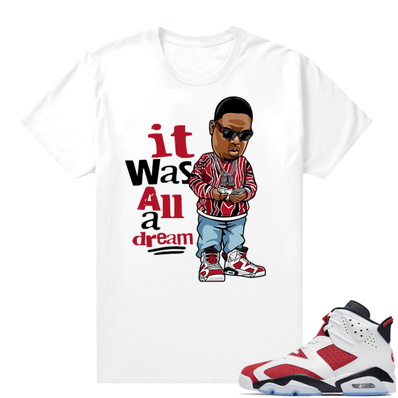 Matching Shirts Jordan 6 Carmine White All A Dream