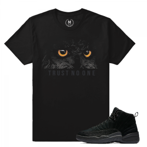 Match Jordan OVO 12 Black | Wise Owl | Black T shirt