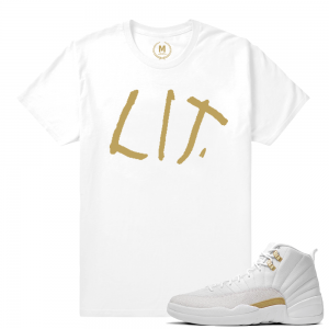 Match OVO 12 Jordan Retro | LIT | White T shirt