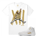 Match OVO 12 Jordan Retro | Air Drizzy | White T shirt