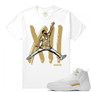 Match OVO 12 Jordan Retro | Air Drizzy | White T shirt