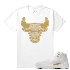 Match OVO 12 Jordan Retro| Bull Drip | White T shirt