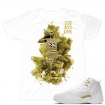 Match OVO 12 Jordan Retro | MJ x Dirty Sprite 2 | White T shirt